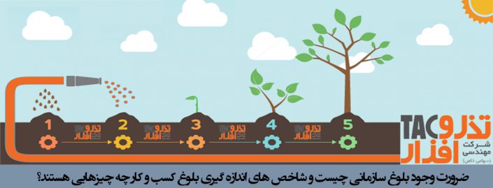 ضرورت وجود بلوغ سازمانی چیست و شاخص های اندازه گیری بلوغ کسب و کار چه چیزهایی هستند؟