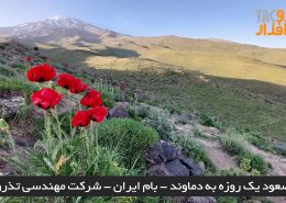 صعود یک روزه به دماوند - بام ایران - شرکت مهندسی تذرو افزار